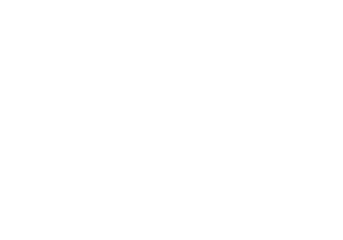 L&M Finance